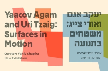 תמונת: יעקב אגם ואורי צייג: משטחים בתנועה - ירדה מהתצוגה